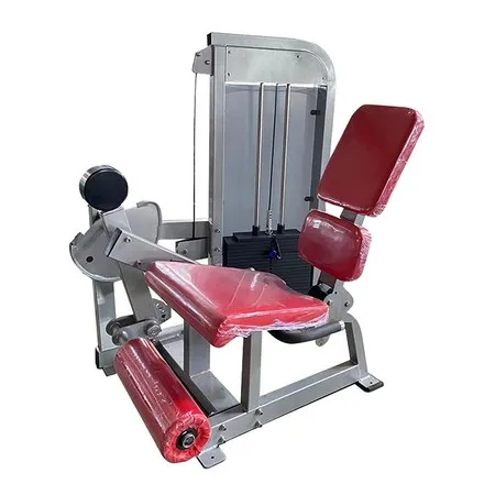 Seated Leg Extension