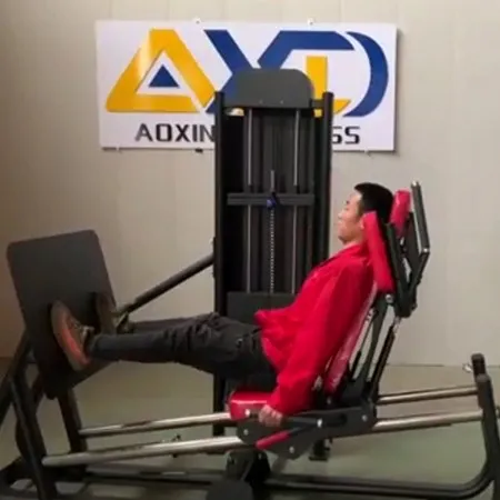 Horizontal Leg Press