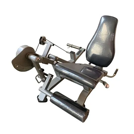 Seated Leg Extension/Prone Leg Curl