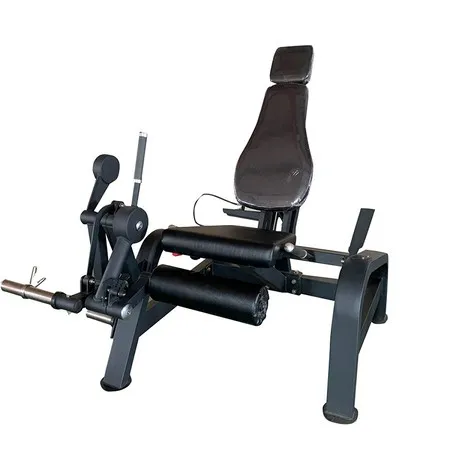 Seated Leg Extension and Curl Machine