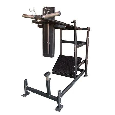 Pendulum Squat Machine