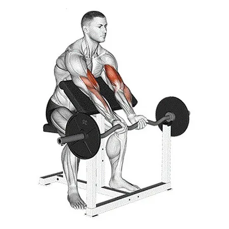 Seated Preacher Curl